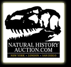 Natural History Auction